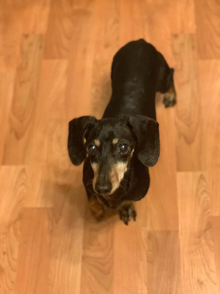 Bo